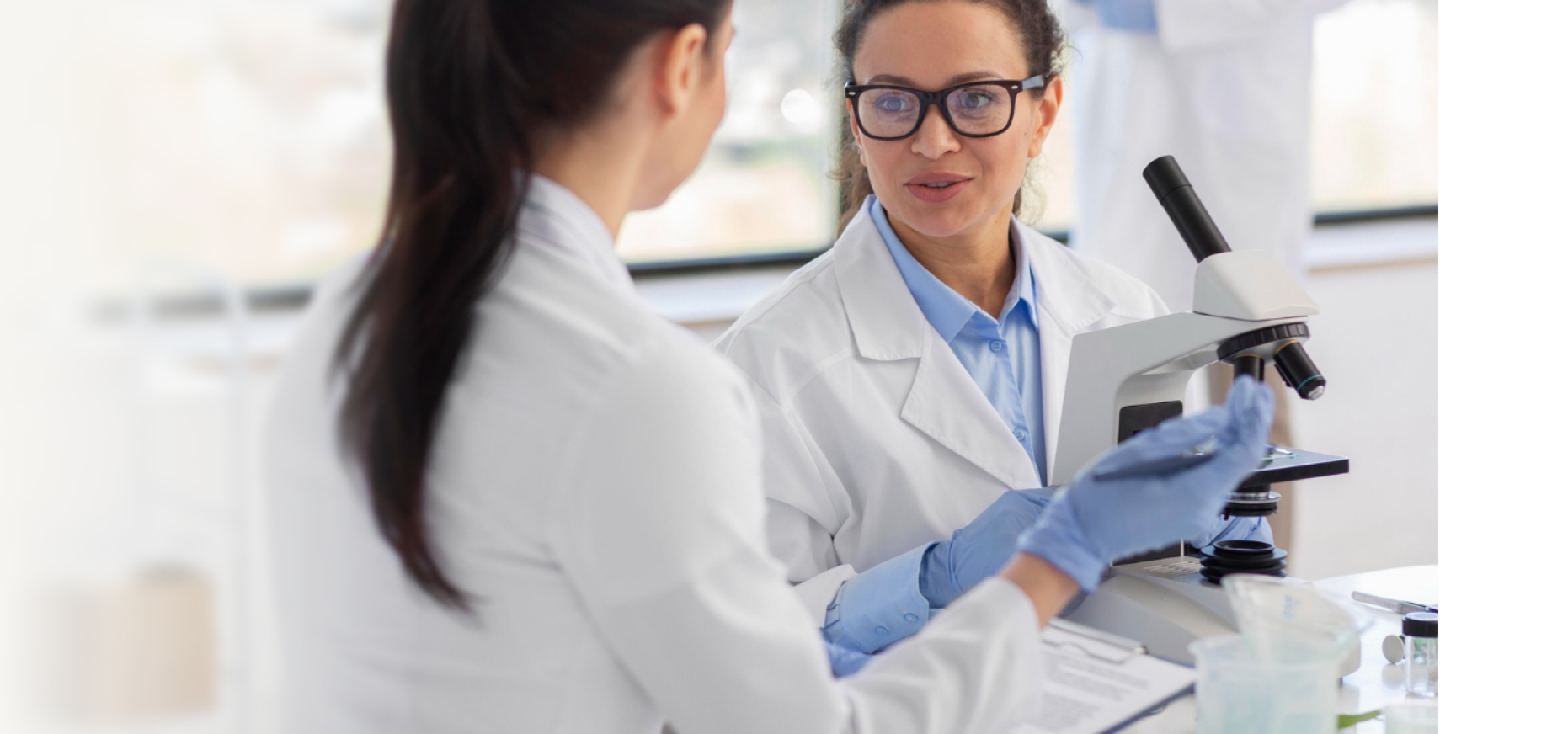 치주 재생 연구